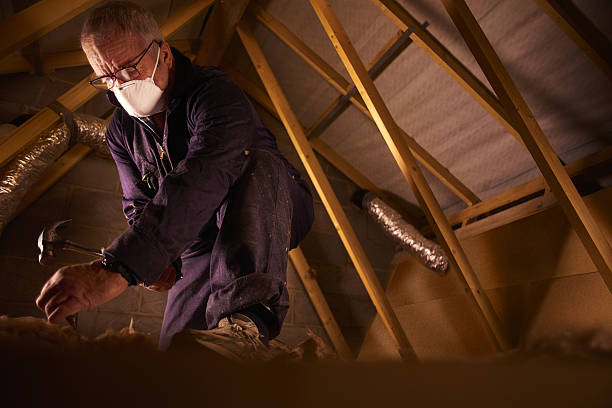 Best Commercial Insulation in Dalton, OH